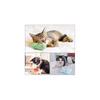 Dorakitten Cat Catnip Toys 5PCS Plush Interactive Cat Toys - Cat Chew Toy Bite Resistant Catnip Filled Kitten Toy for Cat Kitten Teeth Cleaning