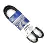 Rubber Automotive Timing Belt Component Set Compatible For 1.6L L4 24422964 1598CC 98CID Ensure Smooth Engine Operation