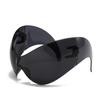 Xiaohongshu Unisex Cat-Eye Cycling Sunglasses: One-Piece Sporty European & American Style