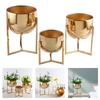 Multiple Level Iron Plant Stand Featuring Space Efficient Design Maximizes Plant Showcases In Small Area Balcony Suitable