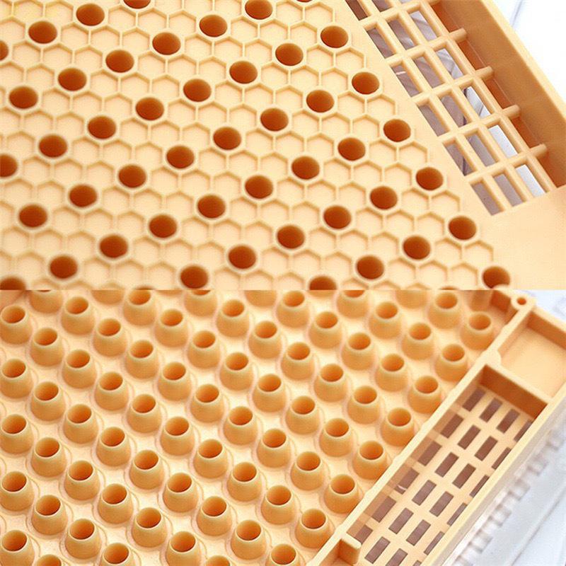 European Style Queen Rearing Kit: Tools & Stand for Beekeeping