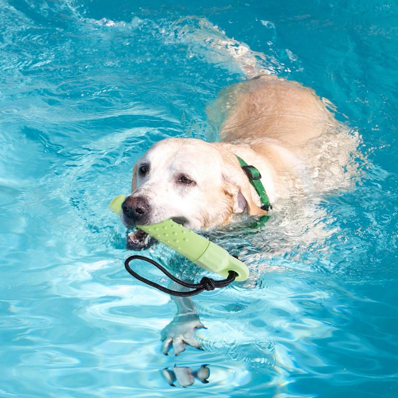 

Dog Pool Toys Interactive Dog Toy For Water Game Durable Dog Fetch Rope Toys Outdoor Fun Puppy Pool Swimming Toy Safe For CHINA