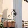 Hat Hooks For Wall Rustic Bird Style Holder Wall-Mounted Hooks For Bags Towels Hat Robe Farmhouse Entryway Closet Bedroom Living