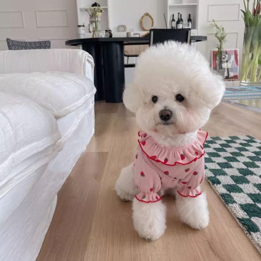 Cute Pet Clothes Fashion Cat Skirt Pet Supplies Dog Vest  Puppy