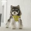 Warm Cotton Dog Sweater With 3D Bear Design Hooded Two-Leg Style Small To Medium Dogs Winter Pet Clothing