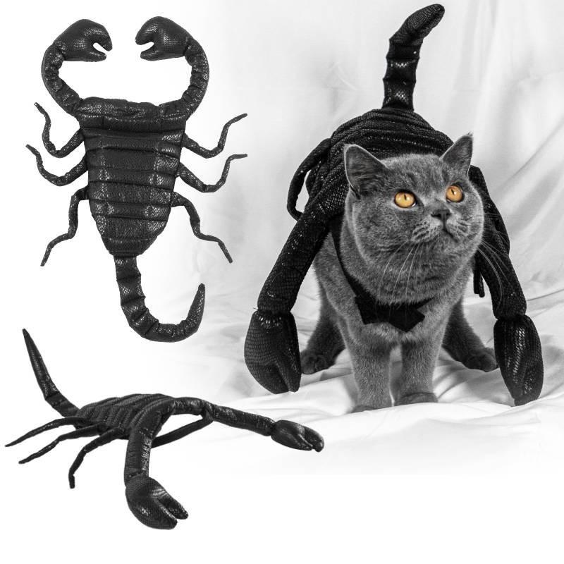 Halloween Haustier Kostüm Süßes Skorpionkönig Kostüm Für Katzen Und Hunde Aus Schwarzem Stoff