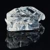 Transparent Dog Tooth Model Dog Cat Rabbit Dental Teaching Canine Dental Animal Resin Teeth  Clinic