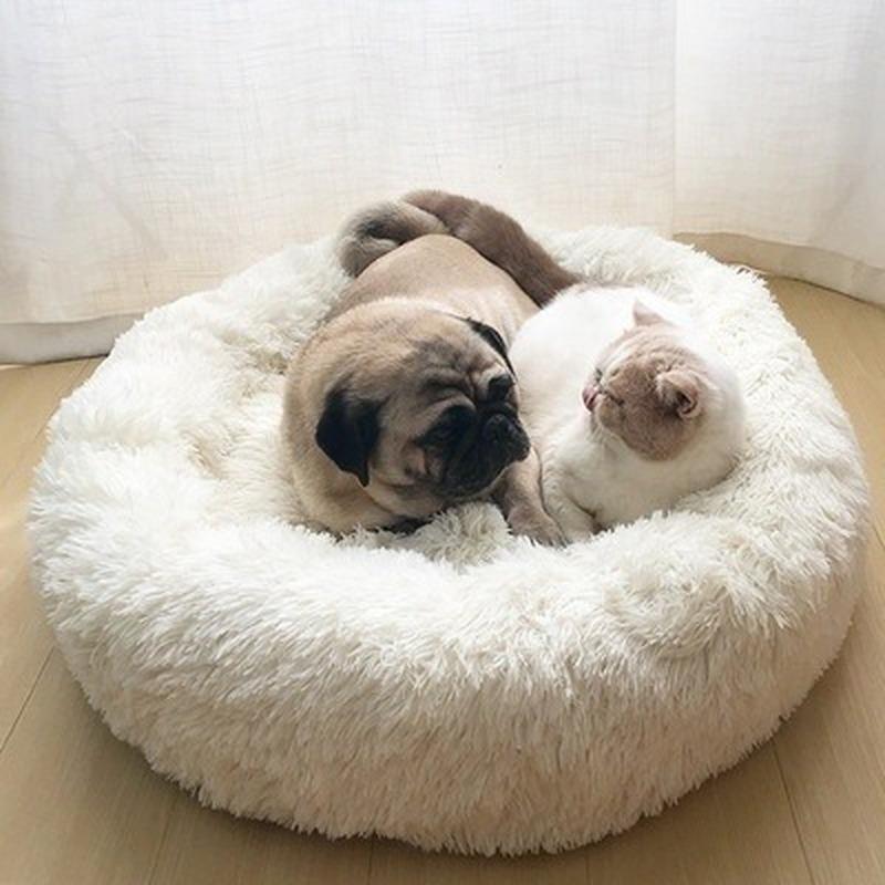 extra large round dog bed
