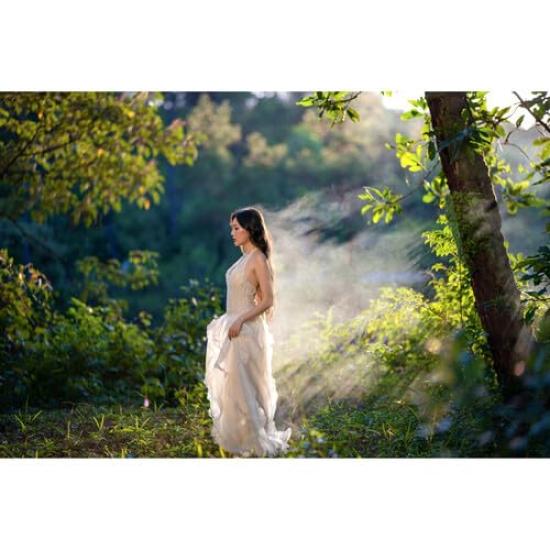 Sigma 85mm DG Art for Sony F1.2 E-mount