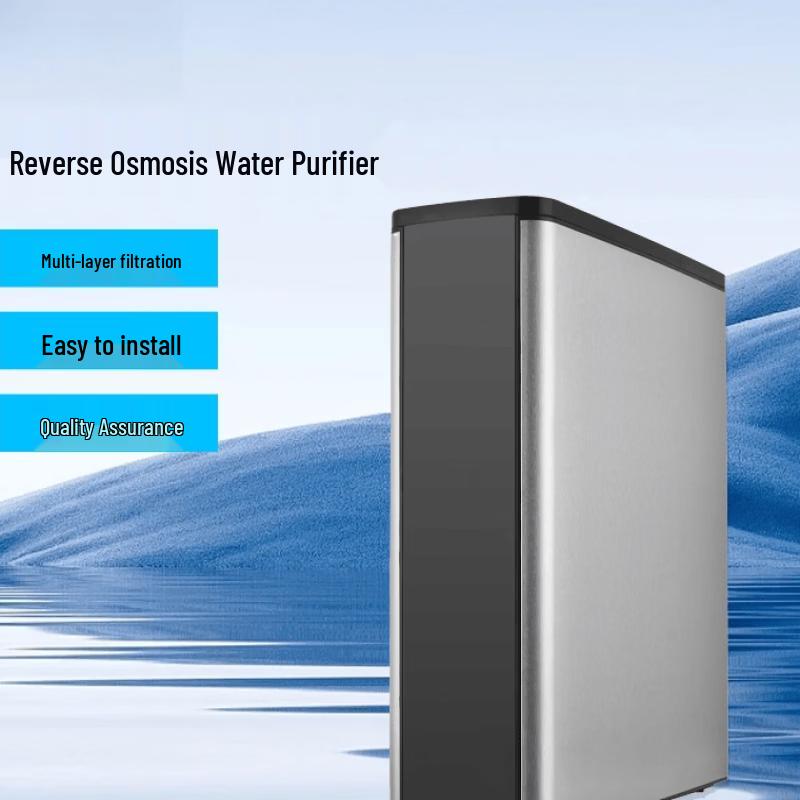 LISM Stainless Steel Dual-Outlet Kitchen Water Purifier