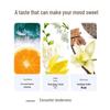 Oba Nourishing and Hydrating Hair Conditioner
