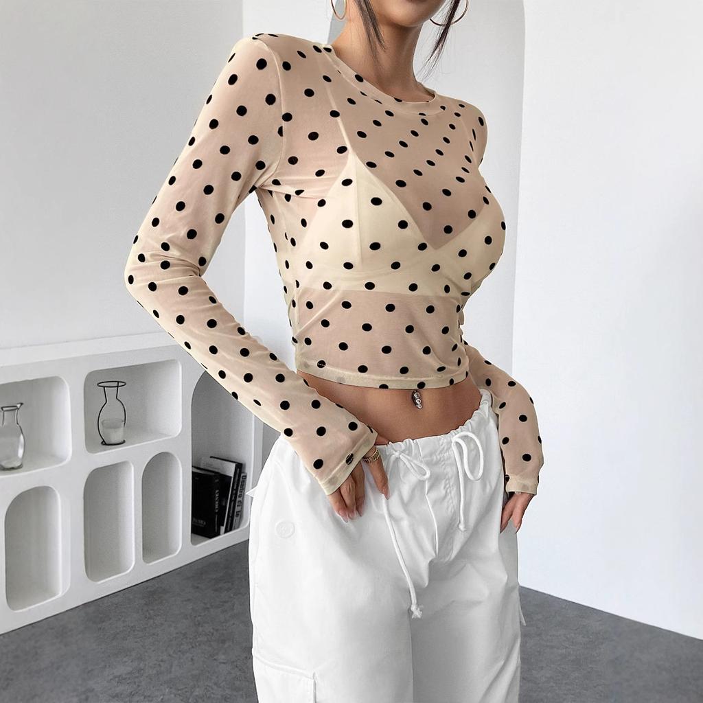 Frühling Y2K Sexy Durchsichtig Gepunktet Enganliegend Netz Rundhals Langarm T-Shirt Damen Mode Täglich Basis Lässig Enganliegend Damen Elegantes Oberteil