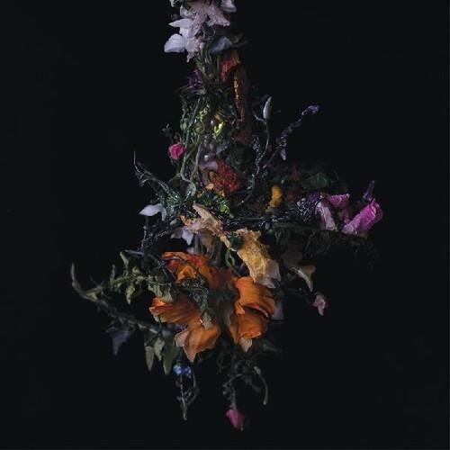 Big/Brave - Nature Morte [VINYL LP] Digital Download