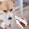 Splash Guard Pet Nail Trimmer High Hardness Dog Toenail Trimmer  For Puppy Cat Rabbit
