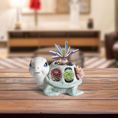 Turtle Figurine Flower Pot Tabletop Ornament Decorative Plant Flowerpot for Indoor Outdoor