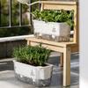 Maceta Transparente de Riego Automático para Plantas de Interior y Exterior Maceta de Plantación con Agujero de Drenaje Depósito Profundo Maceta para Hierbas y Flores con Cuerda de Mecha