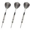 TRiNiDAD PRO Trinidad Pro Chavez Type3 Chavez Type 3 STEEL Shunsuke Sagara Player Model Dart Barrel Dart Set