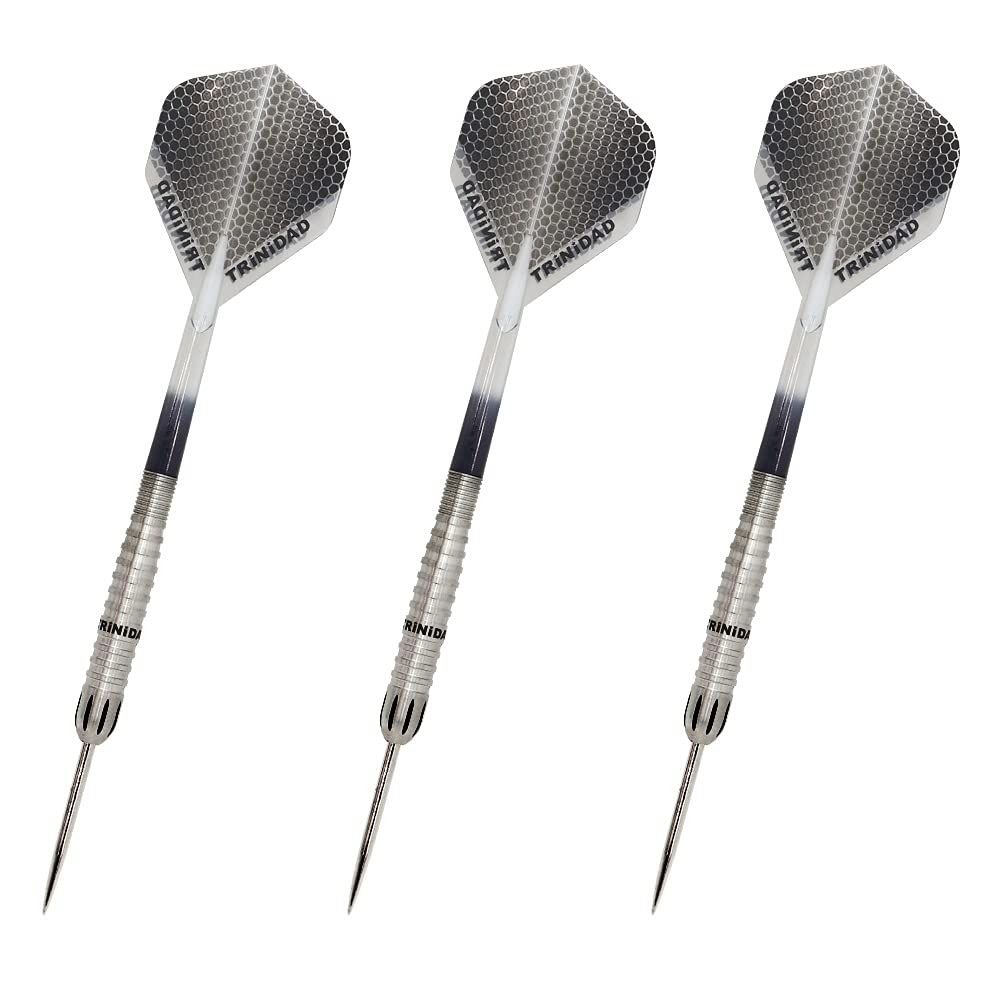 TRiNiDAD PRO Trinidad Pro Chavez Type3 Chavez Type 3 STEEL Shunsuke Sagara Player Model Dart Barrel Dart Set