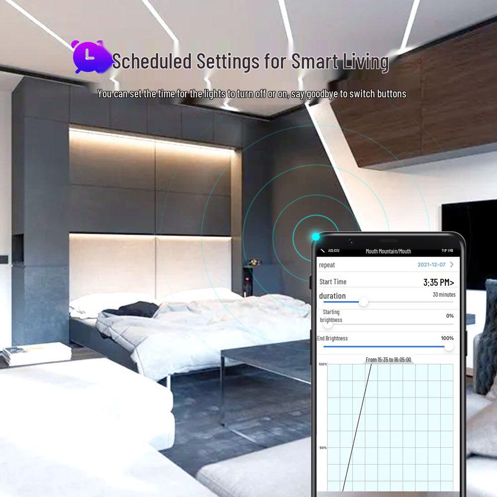 Monochrome LED Strip Controller with Wireless Bluetooth Timer and 11-Key Remote Dimmer