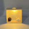 Decorative Display Case with Led Light Handmade 3D Picture Frame Wood DIY Nightlight  Tabletop