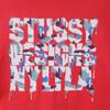 STUSSY 90s Made in USA Old Short sleeve T-shirt L Red Men's Used
