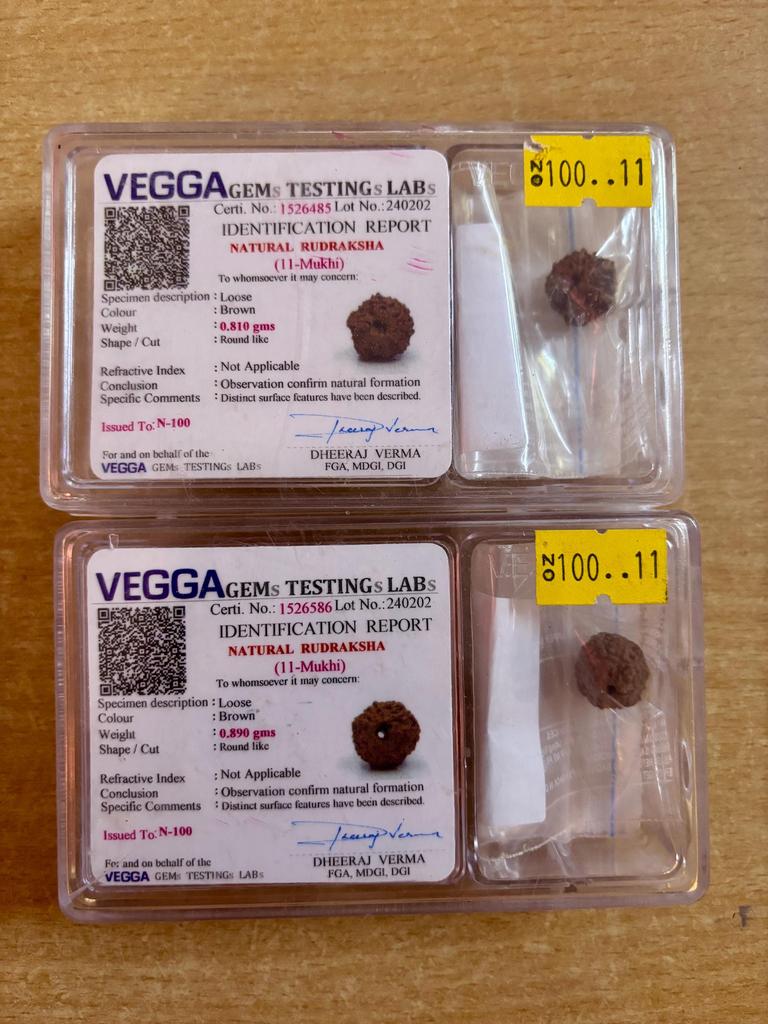 RUDRAKSHA CERTIFICATO IN LABORATORIO 11 Mukhi Rudraksh 11 Undici Facce Rudraksham 1 Pezzo Yoga Preghiera Guarigione Meditazione, Piccola Dimensione Spedizione Gratuita