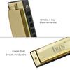 G 20 Mouthorgan 10 Holes 20 Tones Key of G Blues Harmonica with ABS Box for Beginners Music Lovers Christmas Gift Wind