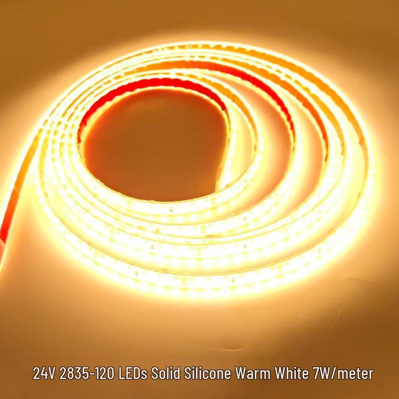 LED Solid Silicone Light Strip, 12V/24V, 2835 Single Row, 120 LEDs for Fish Tank, Swimming Pool, Outdoor Use