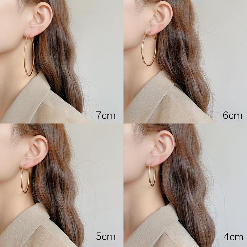 Exaggerated Hoop Earrings - European & American Cold Style, 925 Silver Needle, All-Match Metal Ear Jewelry for Women