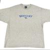 Vintage University Of Kentucky Wildcats T Shirt Sz XL Embroidered Logo Gray