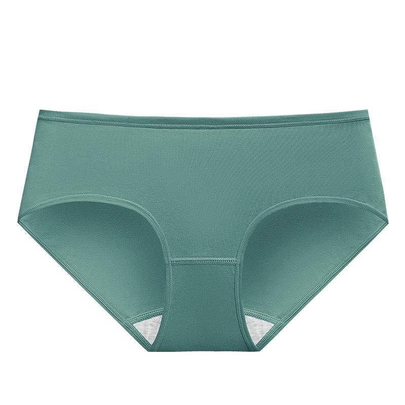 Women Panties 6 Pack Low Rise Cotton Briefs EU US Size Regular Pl-us Size Underwear Set