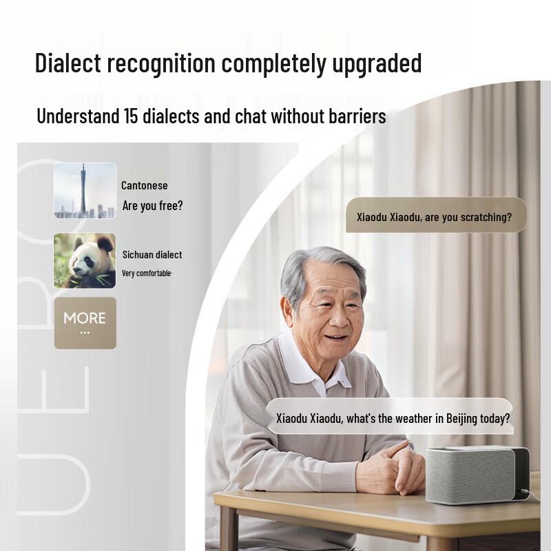 Xiaodu Smart Speaker MatePro CN plug (adapter included)