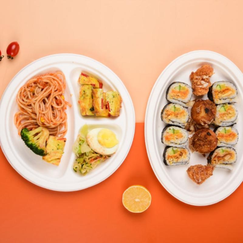 Disposable Paper Plate Halloween Birthday Party Decoration Sugarcane Pulp Disk,Picnic Party Food Plate 6 " 7" 8 " 50Pcs White