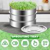 3PCS/Set Sprouts Growing Tray Stainless Steel Sprouting Stackable Tray Mesh Sprouting Tray Seed Sprouting for Beans Peas 20CM