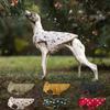 Christmas Dog Jacket Party Printing Reversible Winter Dog Coat for Small Dogs Soft Padded Warm Dog Clothes with Hole for Leash
