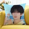 Huang Xing Eliot Huang D-Desire   Various Sizes Square Pillow Case For Car Home Bedchamber Decor