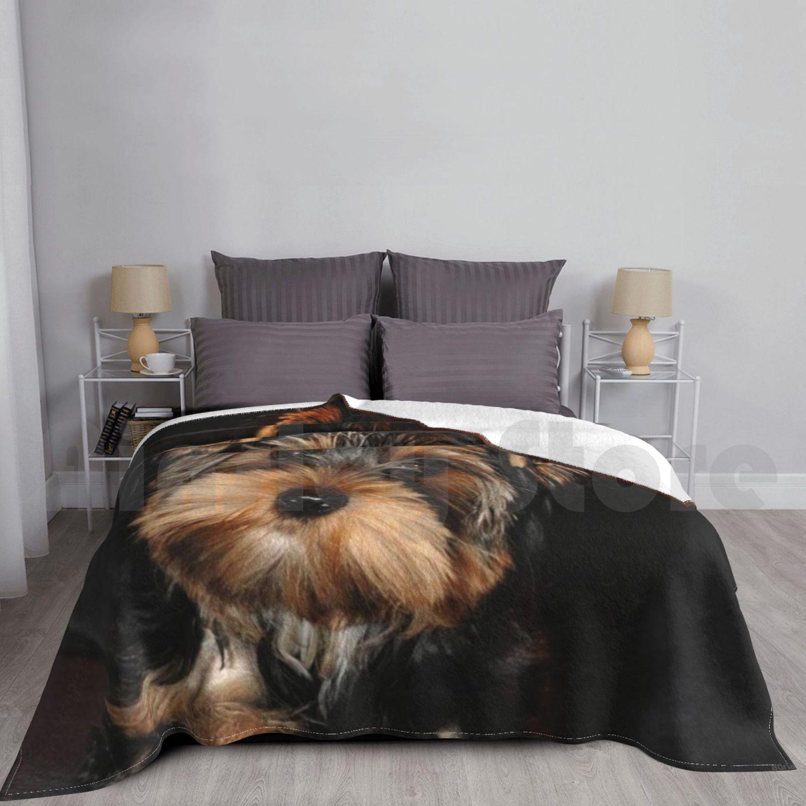 Cute Yorkshire Terrier Dog Blanket Fashion Custom 62 Yorkshire Terrier Yorkie Dog Pet Toy Breed Teddy Bear Size: 75*100cm, Weight: 230 GSM