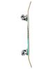 Blind Checkered Reaper Youth First Push Soft Wheel Teal Complete Skateboard X 7.375 29.8