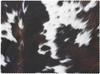 Cow Print Tablecloth Black Brown Cowhide Pattern Cattle Animal Fur Western Farmhouse Table Cover