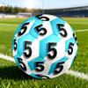 1pc Size 5 Number Five Soccer Ball, Professional Match/Training Ball, Suitable for Indoor and Outdoor Sports Games. Y62796