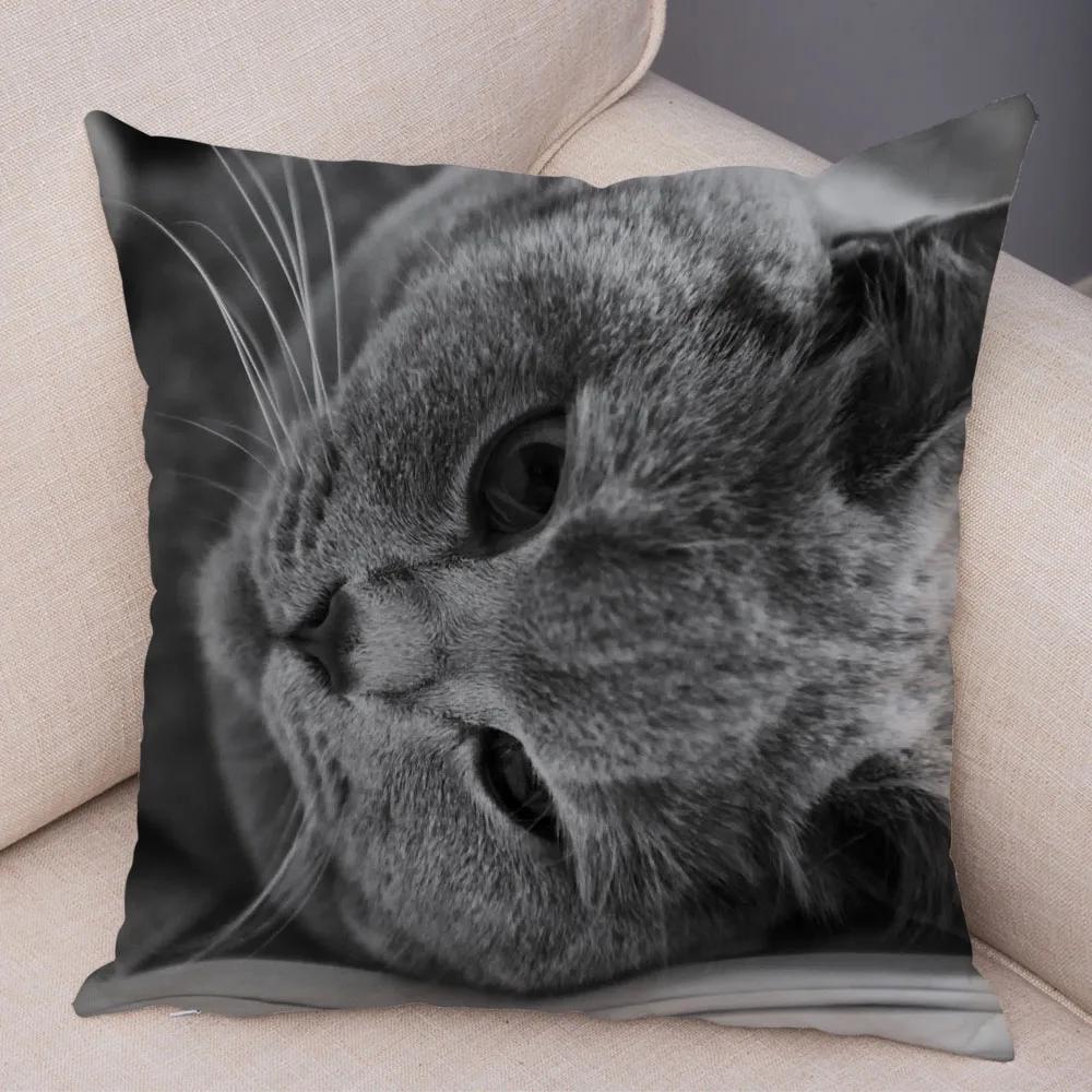 Russian Blue British Shorthair Cushion Cover Decor Cute Cat Pet Animal Pillowcase Soft Plush Pillow Case for Car Sofa Home