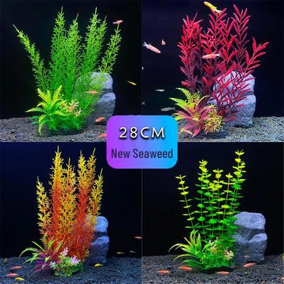 Peces y mascotas acuáticas – Decoración de peceras