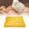 Motor High Quality Automatic Egg Turning Tray For Chicken Duck Egg Brooder Accessory Egg Incubator