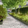 VidaXL Lawn Edging 30pcs Olive Green 20x103cm Cold-Rolled Steel, Garden Edging, Garden Bed Edging, Edging 860163