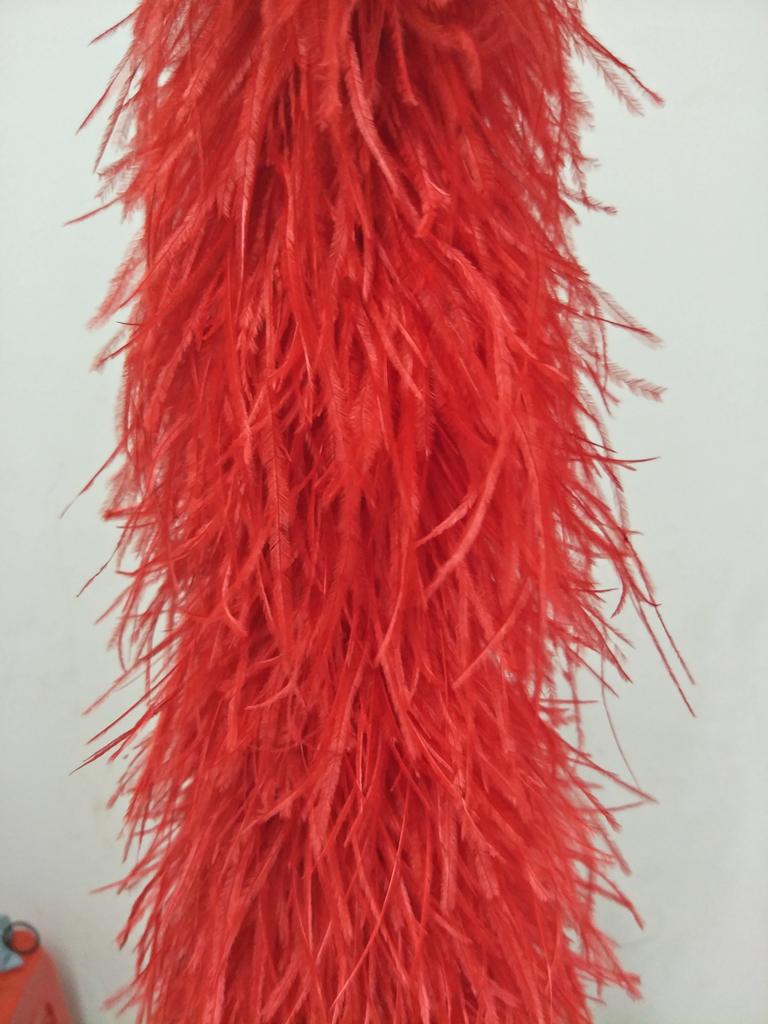 2 Metes Fluffy Ostrich Feather Boa Trim for Party Shawl Craft Ostrich Feathers Boa Wedding Dress Decoration Scarf 5/10/15/25ply