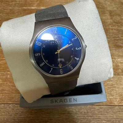 Used SKAGEN Blue Dial Stainless Steel Watch