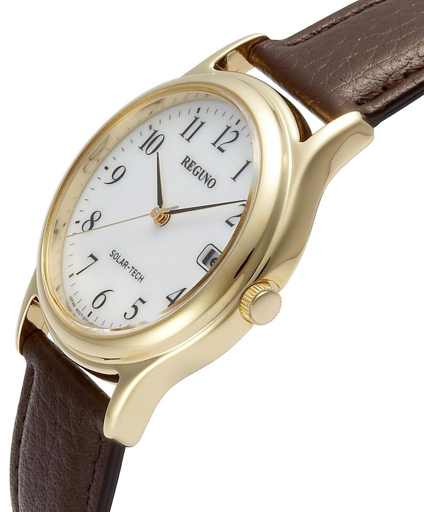 Citizen REGUNO Solar Tech Standard Model Watch RS25-0031B Men's