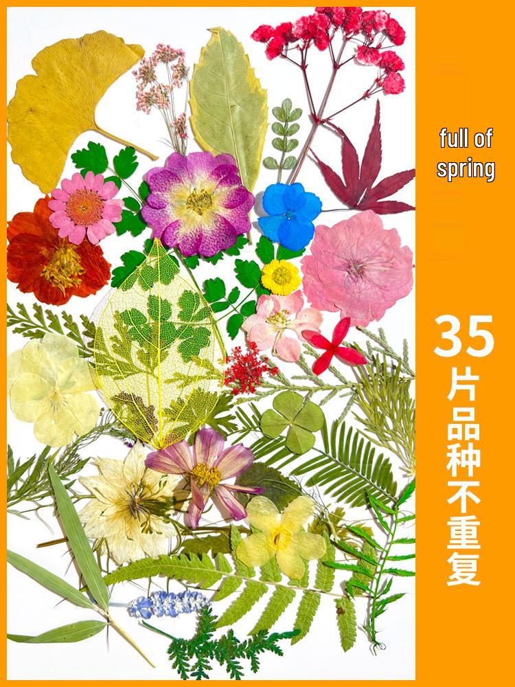 Creative DIY Bookmark Kit: Blank Cards with Embossed Dried Flowers and Leaves