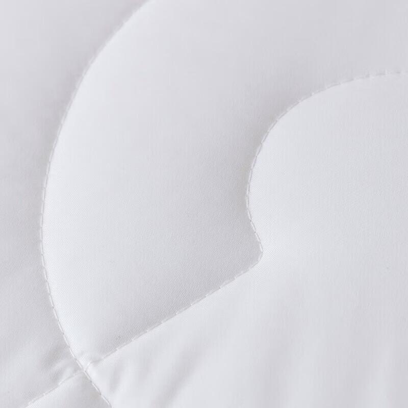 Mercury Home Textiles Anti-mite Antibacterial Mulberry Silk All-Season Quilt