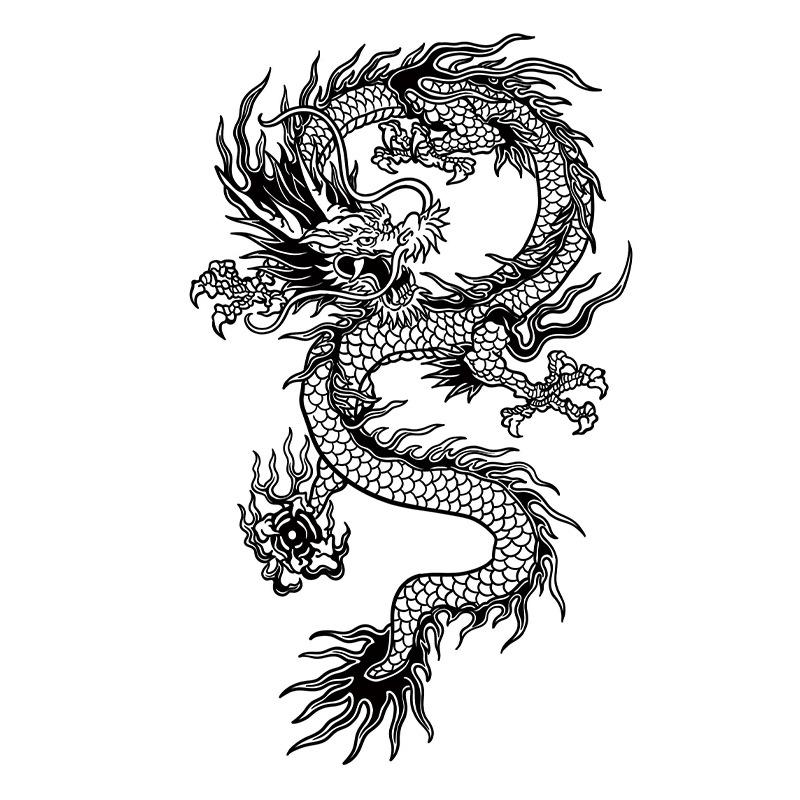 

Наклейки с татуировкой «Травяной дракон»: Водонепроницаемый, долговечный, полуперманентный, мужской цветочный дизайн сундука 12x19 cm